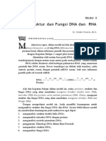 Modul 3 Strukturdan Fungsi Dna Dan Rna1 Dikonversi