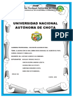 Inf. N°6 Lámina Biodegradable de Almidón