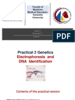 2 - Practical Genetics Electrophoresis and DNA Identification
