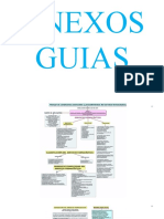 Anexos Guias