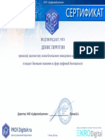 09.05.2022, Денис Пичугин, Результаты Диагностики Prof.digitalr.ru, Сертификат 2