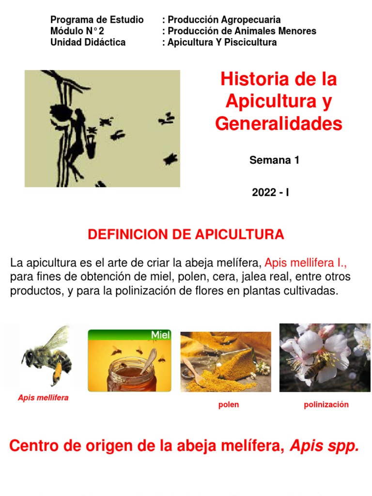 Preservativo Penetrar creciendo Historia Apicultura Generalidades | PDF | Western Honey Bee | Apicultura