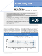 educación y competencias-ensayo final