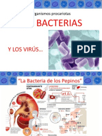 Virus Bacterias