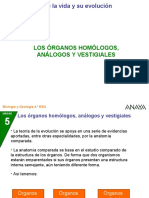 PPT ANATOMÍA COMPARADA