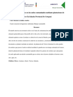 Eliminación de Arsénico en Los Suelos Contaminados Mediante Plantaciones de Vetiver en Salache Provincia de Cotopaxi