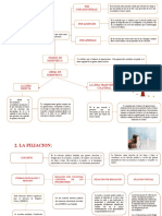 Familia Mapa Conceptual