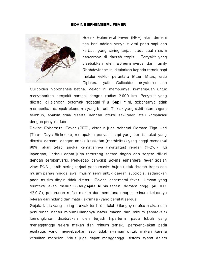 Bovine Ephemeral Fever PDF