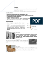 PALEOTRAUMATOLOGÍA