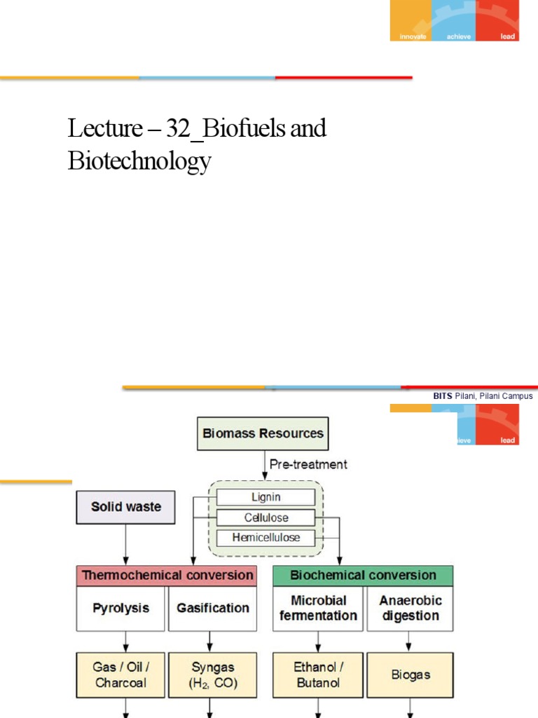 Biofuels and Biotechnology Overview | PDF | Biofuel | Chemical Reactor