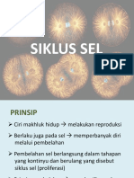 Siklus Sel