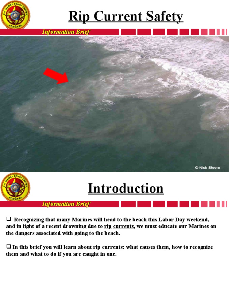 Rip Current Safety And Science – EILBI
