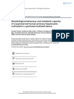 Cryopreserved Hepatocytes in Perfused Microfluidic Device Maintain Metabolism