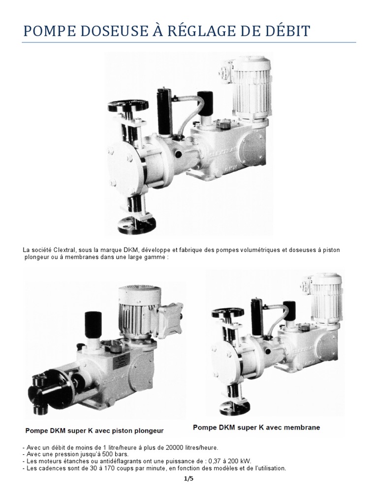 Schéma cinématique des pompes DKM | PDF | Pompe | Piston