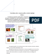 Modul IV - Tema 3-Curriculum Școlar Concepte Specifice, Structură, Tipologie