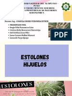 2g_estolones y Hijuelos