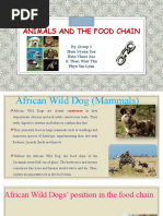 Animals and The Food Chain