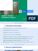 Bullets Forestal