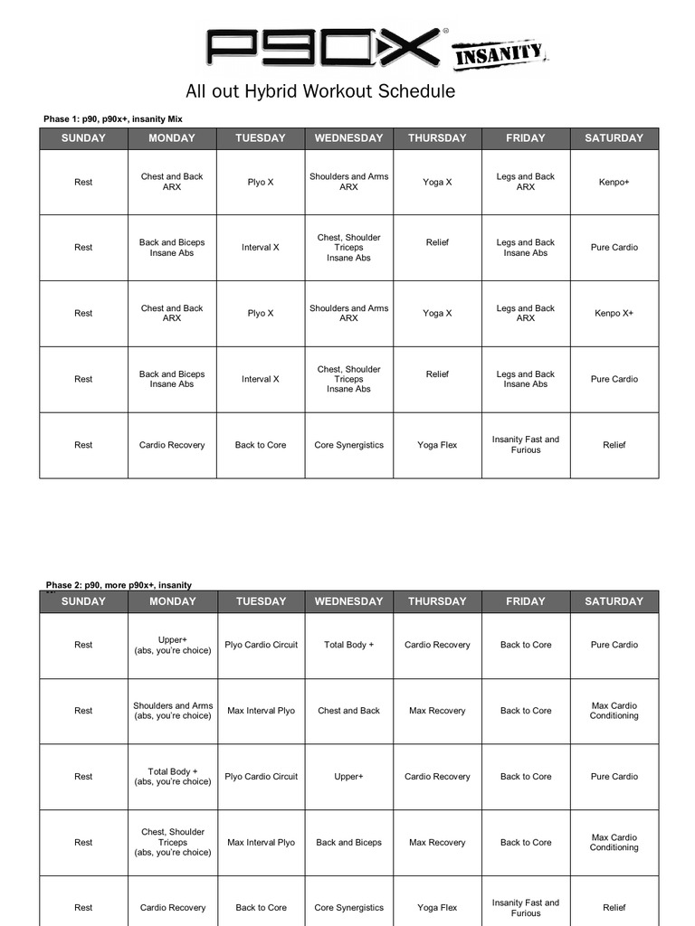 p90x-insanity-and-insanity-asylum-all-out-hybrid-workout-schedule-pdf