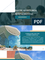 Vi Normas de Auditoría Gubernamental