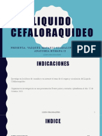 P. Liquido Cefalorraquideo