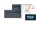 Hormonal feedback control of the adrenal hormones