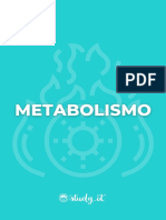 Resumos - Metabo