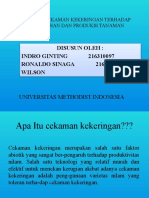 Pengaruh Cekaman Kekeringan Terhadap Pertumbuhan Dan Produksi Tanaman