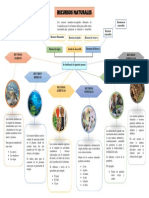 Recursos Naturales-Mapa Mental