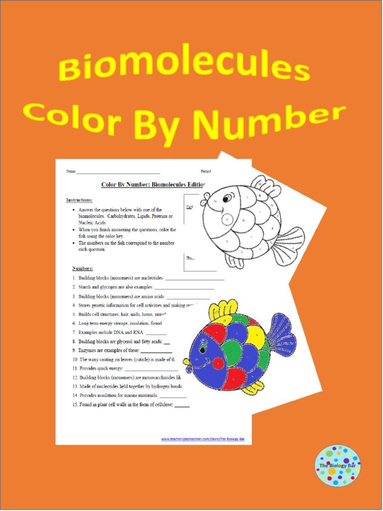 Color by Number Biomolecules Edition Name Period PDF