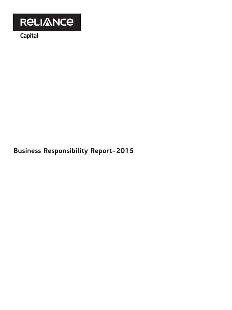 Business Responsibility Report 2015 PDF Economies Business