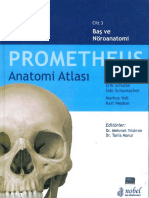 Prometheus Anatomi Atlası - Cilt 3 ( PDFDrive.com )