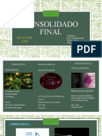 Consolidado Final