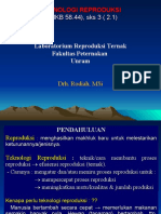 Pendahuluah