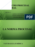 Derecho Procesal General. TA S7