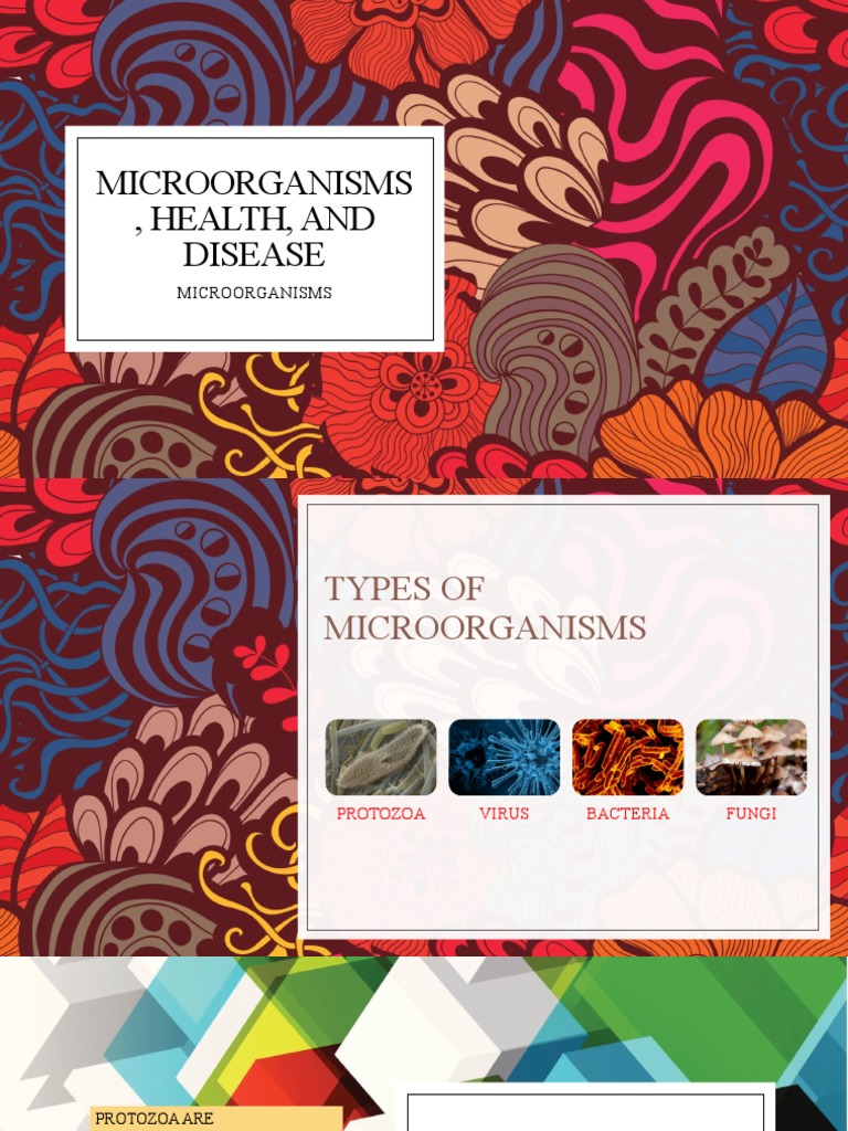 Microorganisms: Types and Health Impact | PDF
