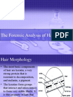 Forensic Hair Analysis: Identifying Species, Race, Drugs & DNA