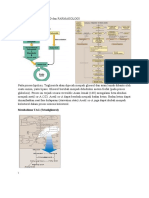 Li Metabolisme Lipid & Farmakologi