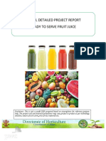 Model Detailed Project Report Ready To Serve Fruit Juice