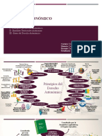 Mapa Mental - Der. Autonómico