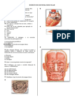 Exercícios sistema muscular