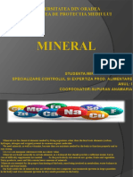 Miron Daiana-Lavinia Minerale CEPA I