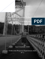 Puente Colgante Libertador Colección ExpArt #2