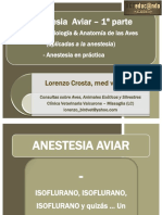 Anestesia aviar - Parte 1 - Lorenzo