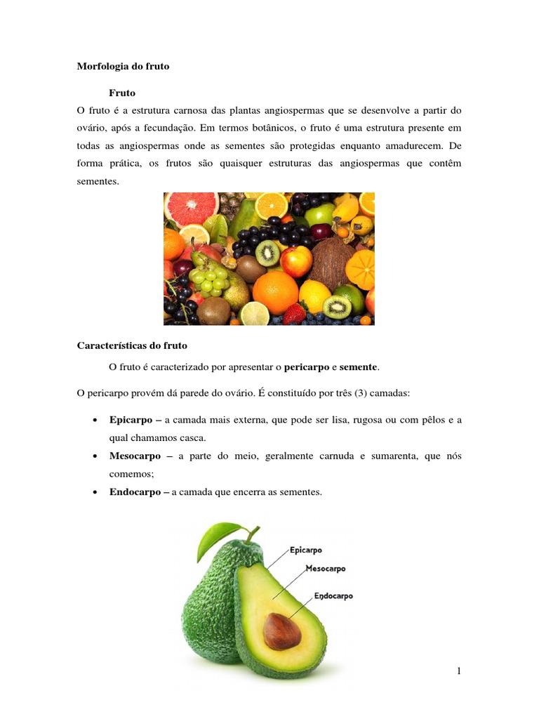 Morfologia Do Fruto | PDF | Fruta | Áreas da Botânica