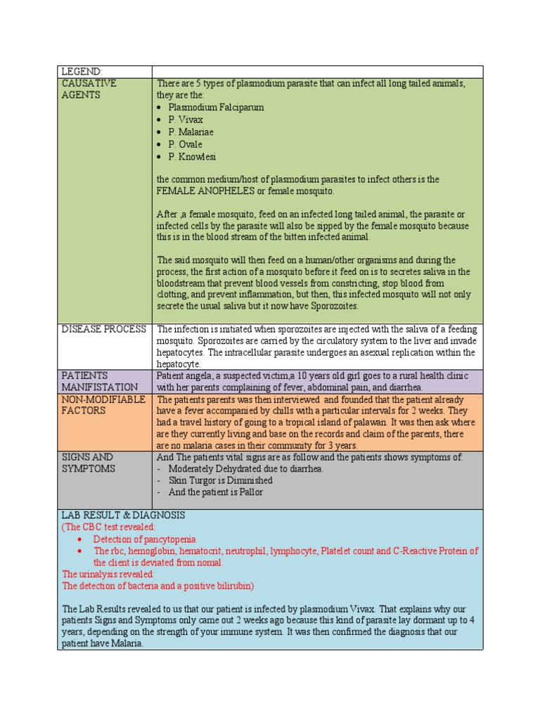 Script - Explanation of The Whole Patient Based Pathophysiology-Navero ...