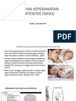 Nifas PDF