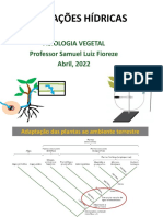 Aula 2 - Relações Hídricas em Plantas - 2022-1