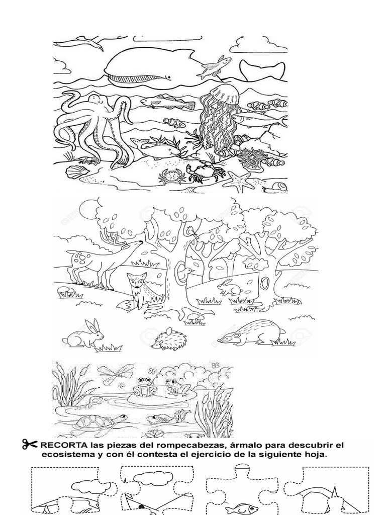 Factores Bioticos y Abioticos | PDF