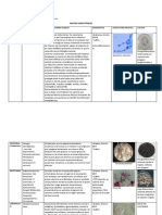 Micosis subcutáneas y profundas